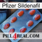 Pfizer Sildenafil 06
